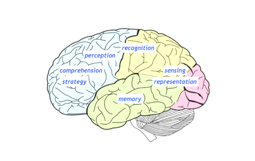 AI mimicking brain functions