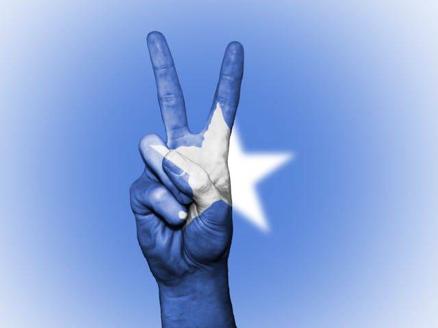 Photo by David Peterson: https://www.pexels.com/photo/blue-and-white-star-painted-hand-in-peace-sign-gesture-344738/